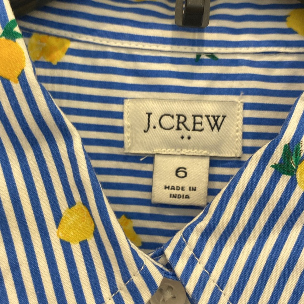 J.Crew Factory  Blue striped Dress with Yellow Lemons - Picture 6 of 8